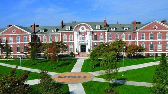 UNIVERSITY OF NEW HAVEN